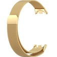 Brățară milaneză cu brățară cu carcasă pentru Xiaomi Smart Band 10 / 9 / 8, de aur