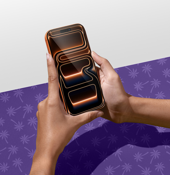 Sticlă temperată Shy Palm Privacy pentru iPhone 17 Pro Max