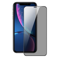 Sticla temperată Dux Ducis Anti Spy pentru iPhone XR / 11