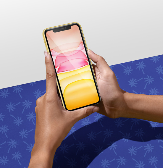 Sticlă temperată Diamond Palm pentru iPhone 11