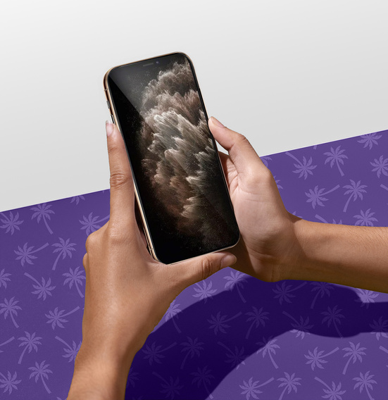 Sticlă temperată Shy Palm Privacy pentru iPhone 11 Pro Max