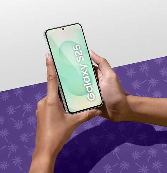 Sticlă temperată Shy Palm Privacy pentru Samsung Galaxy S25