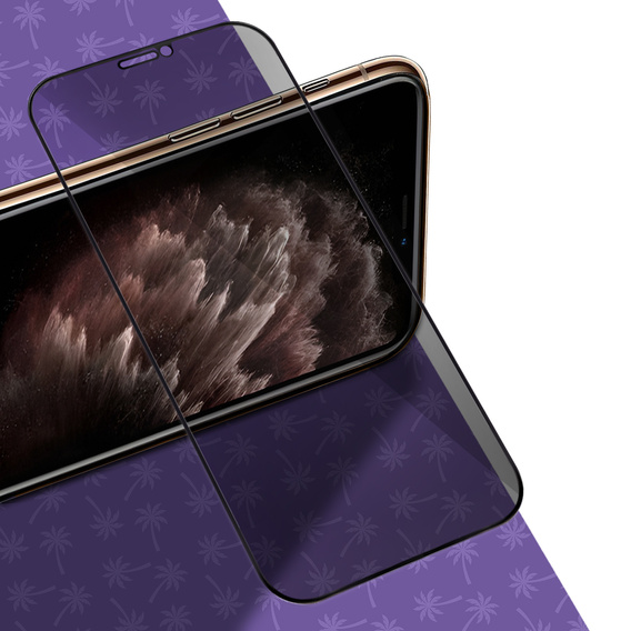 Sticlă temperată Shy Palm Privacy pentru iPhone 11 Pro Max