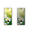 ENKAY sticlă călită ENKAY pentru Honor 200 Pro 5G / Honor 300 Pro, transparentă