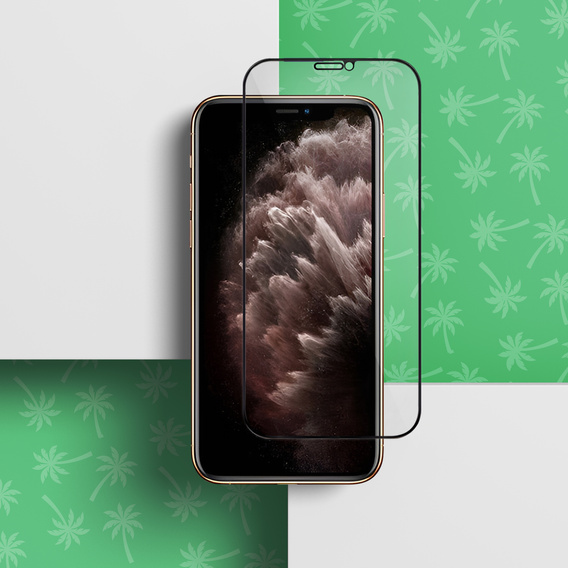Sticlă temperată 5D Full Glue Smart Palm pentru iPhone 11 Pro